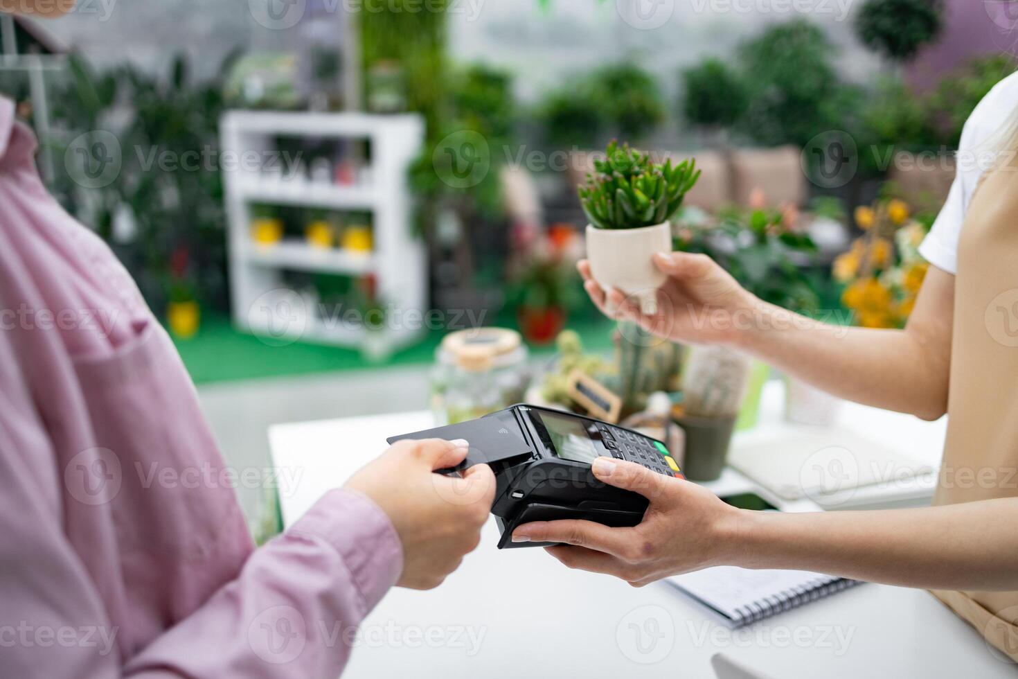 A customer uses a card to pay for a plant at a florist shop. A salesperson hands the buyer a small succulent in a pot. photo