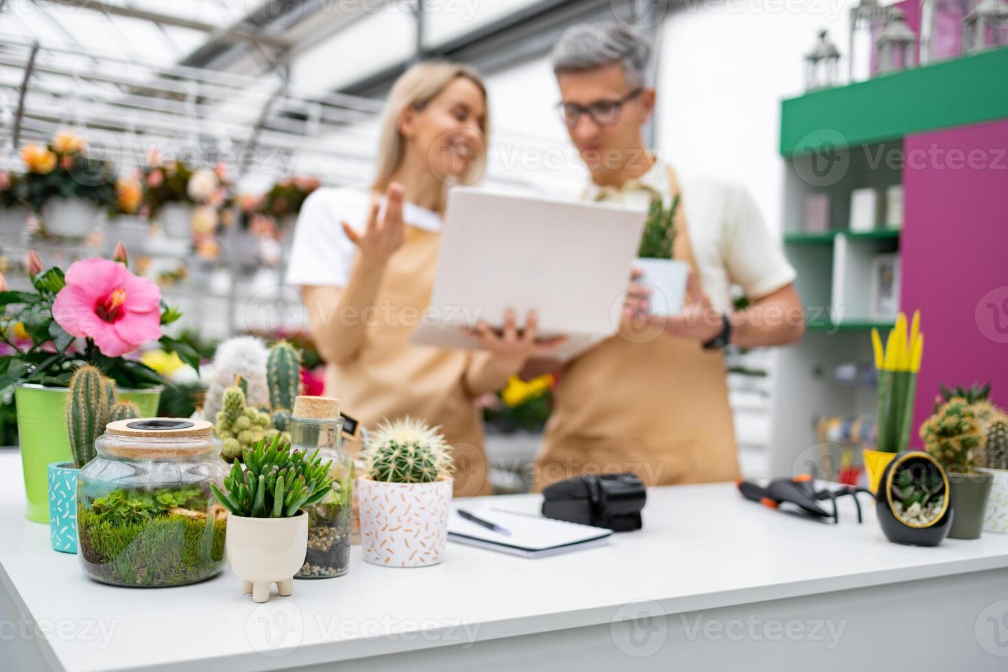 Two florists look at a laptop on a table in their shop, surrounded by various potted plants and cacti, managing their business. photo
