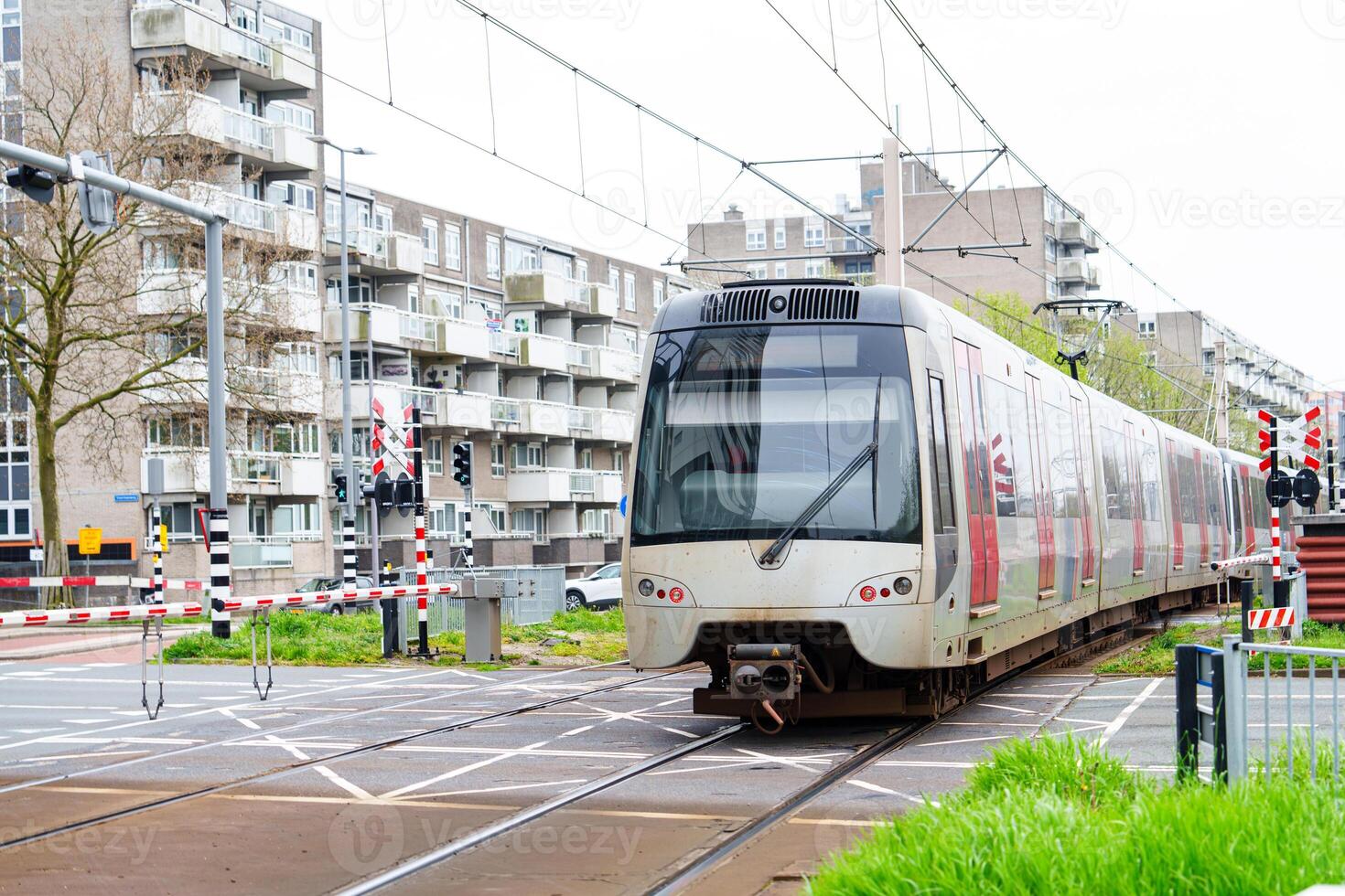 Embrace sustainable urban mobility in Rotterdam as electric trams form a vital part of the city's public transportation, offering efficient and eco-friendly travel. photo