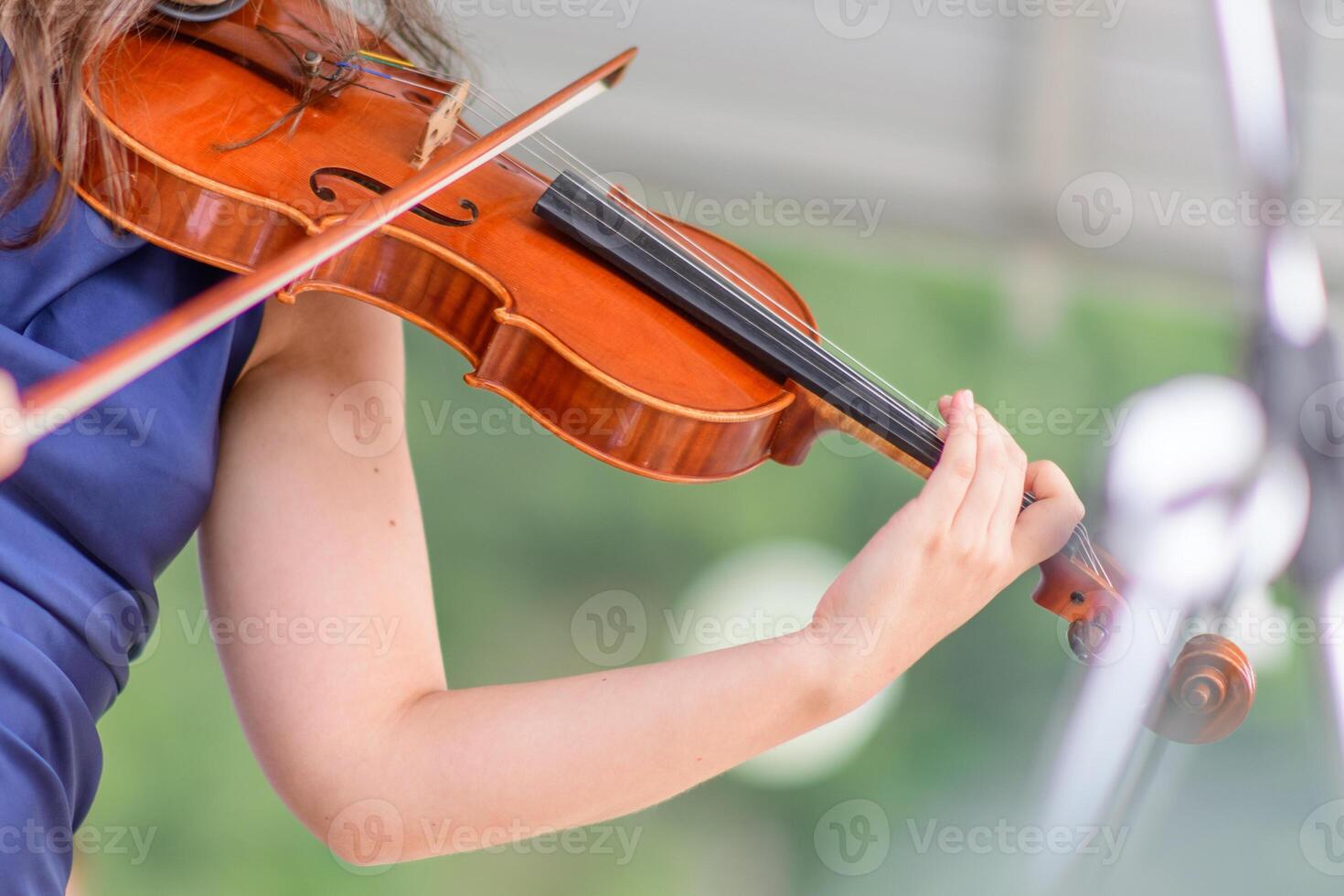 Detail of violin player photo