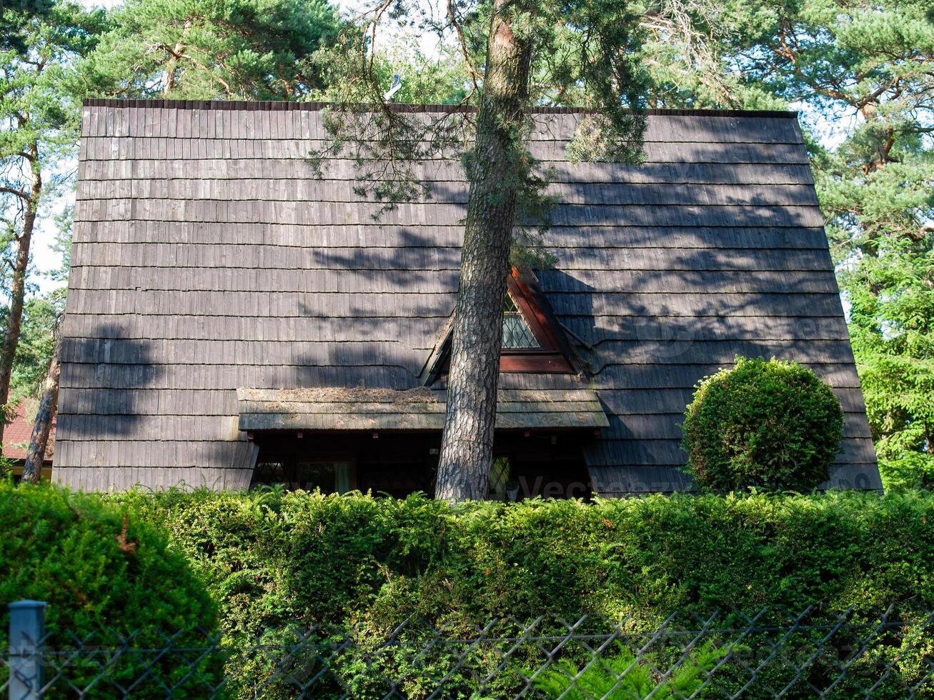 House with a tree in front of it photo