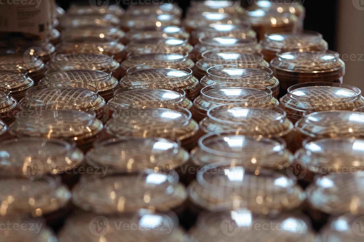 lined up dry cake packaging photo