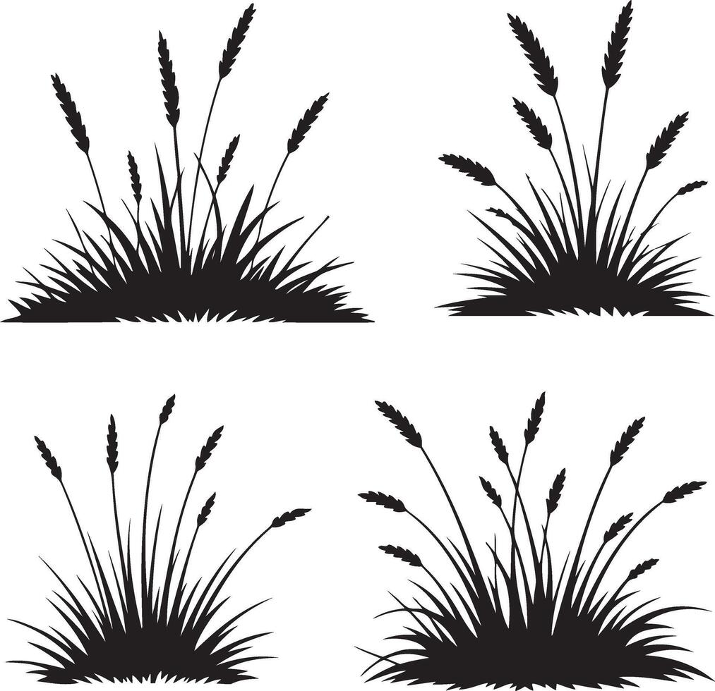Set of simple black grass silhouettes with wheat isolated on white vector