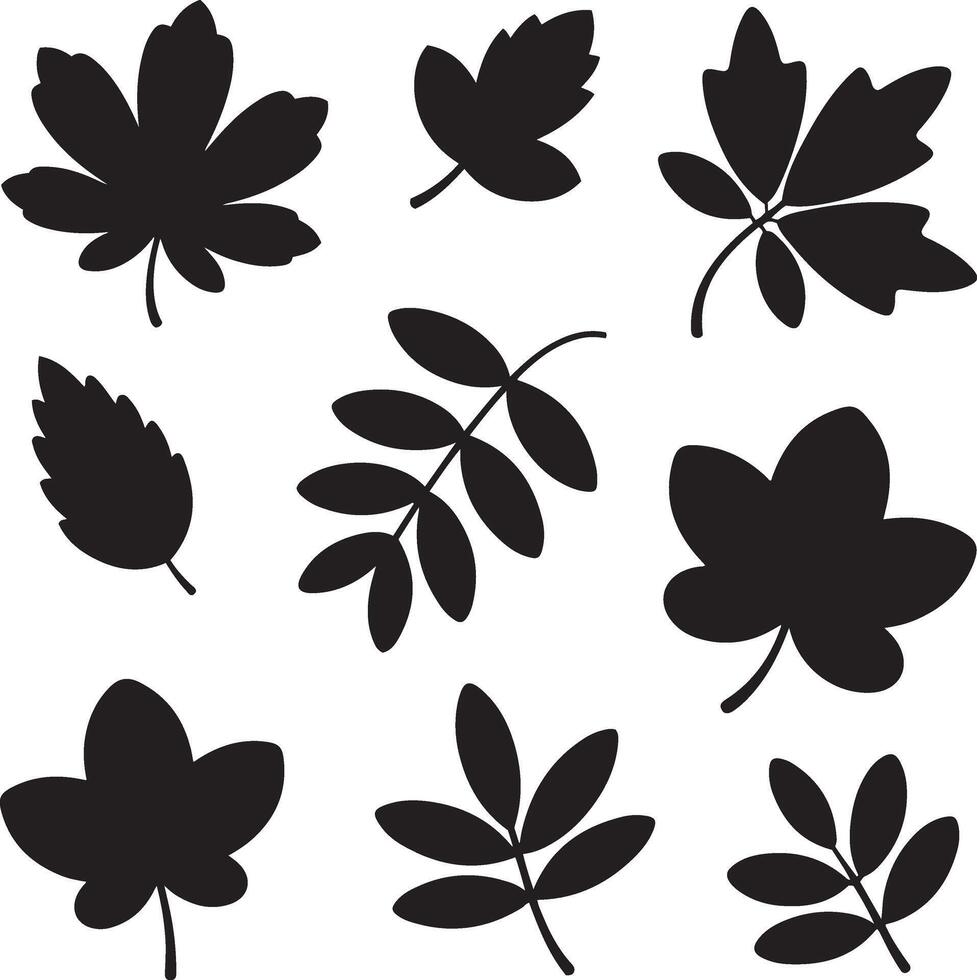 collection of twelve simple black leaf silhouettes isolated on white vector
