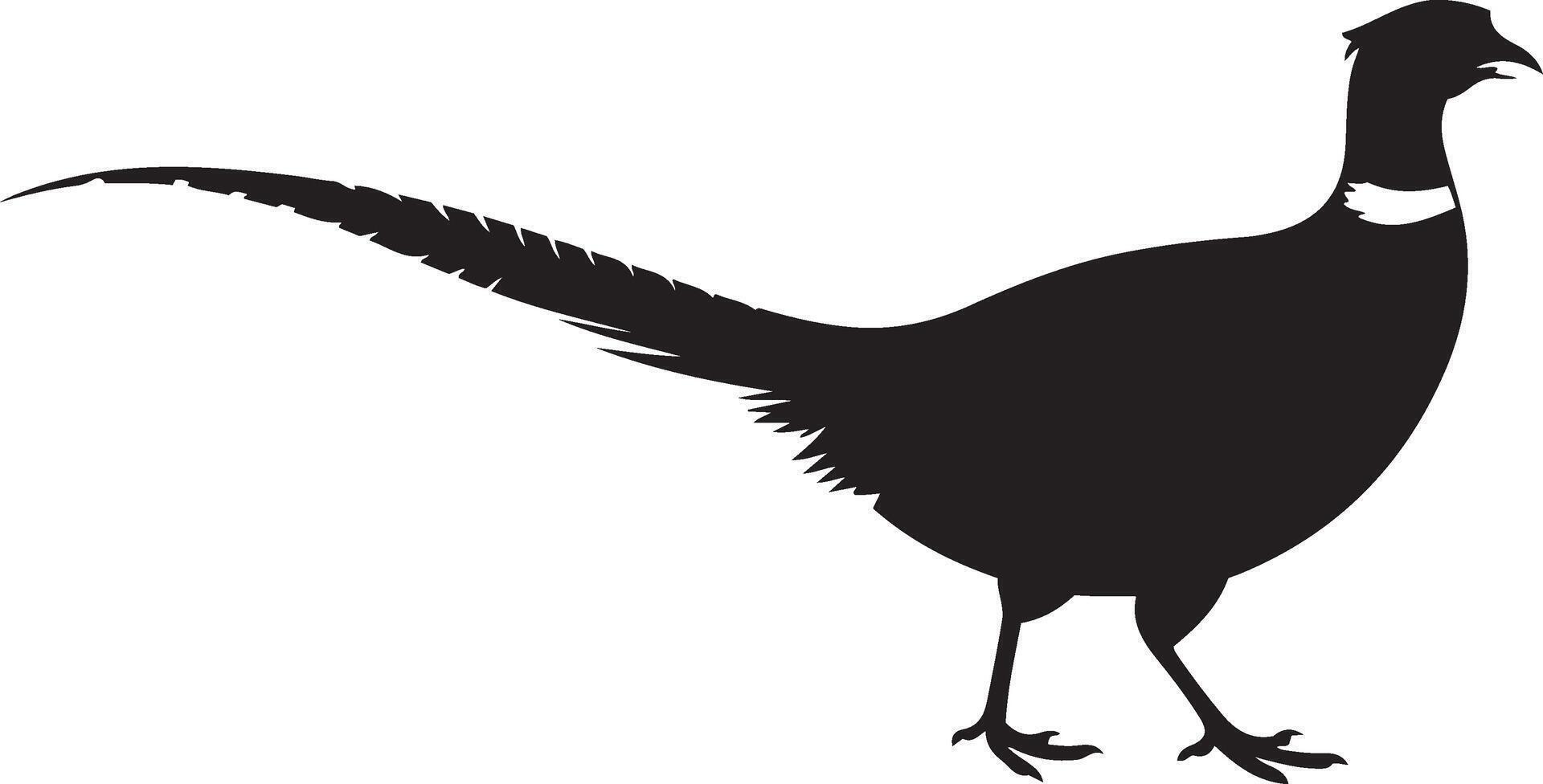 pheasant silhouette is shown in profile view vector