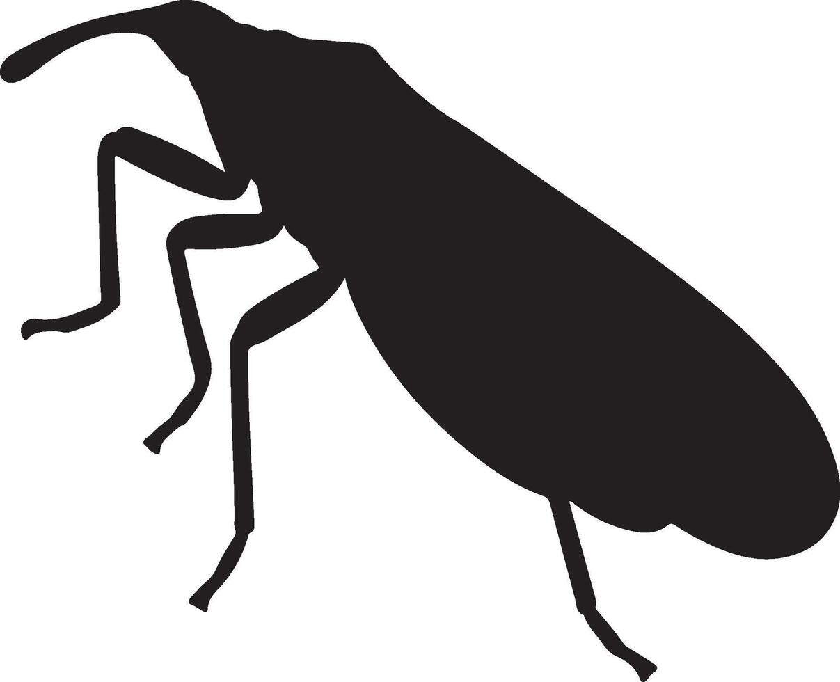 Lantern Bug Solid Black Silhouette vector