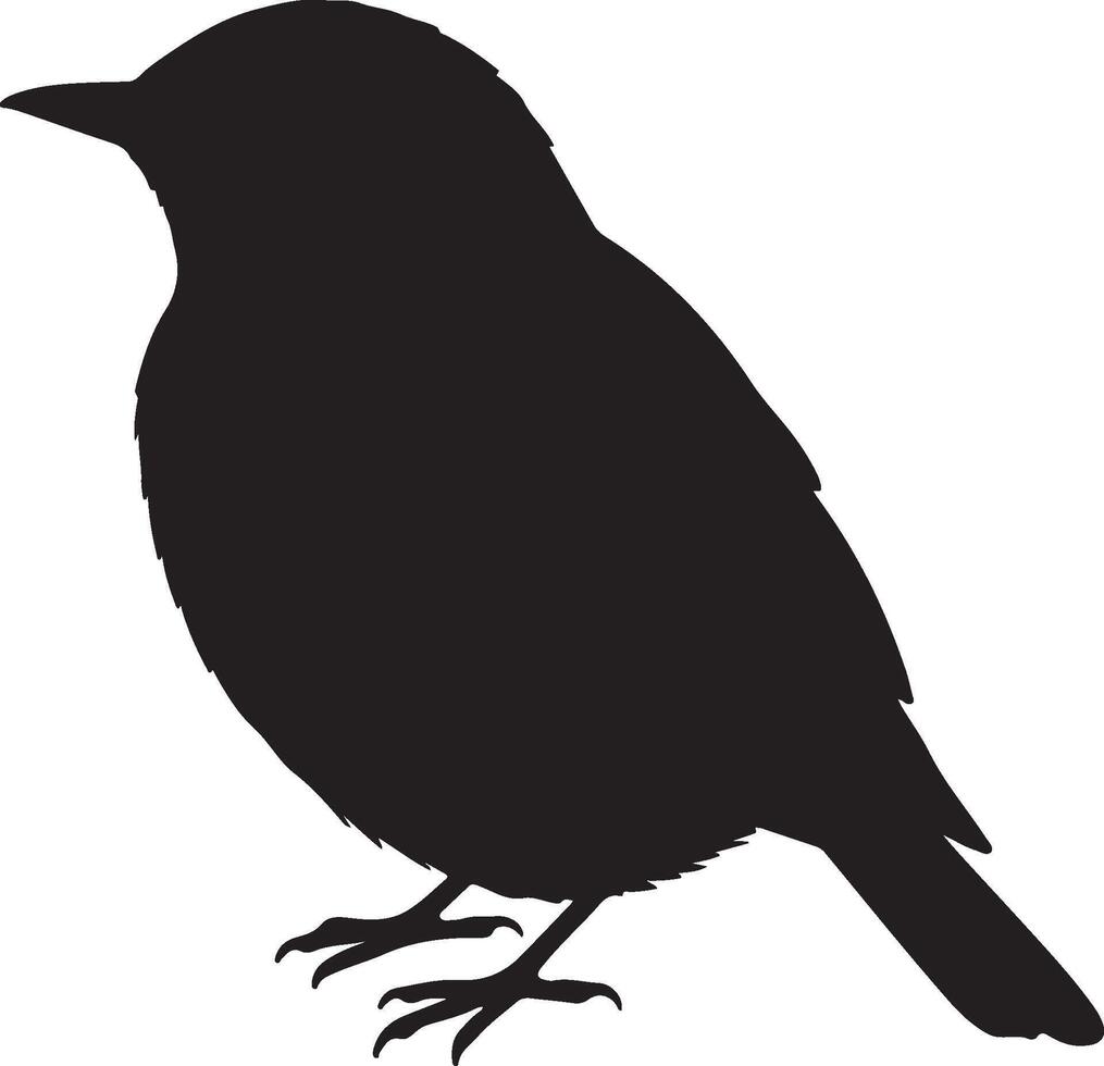 Nightingale Solid Black Silhouette vector
