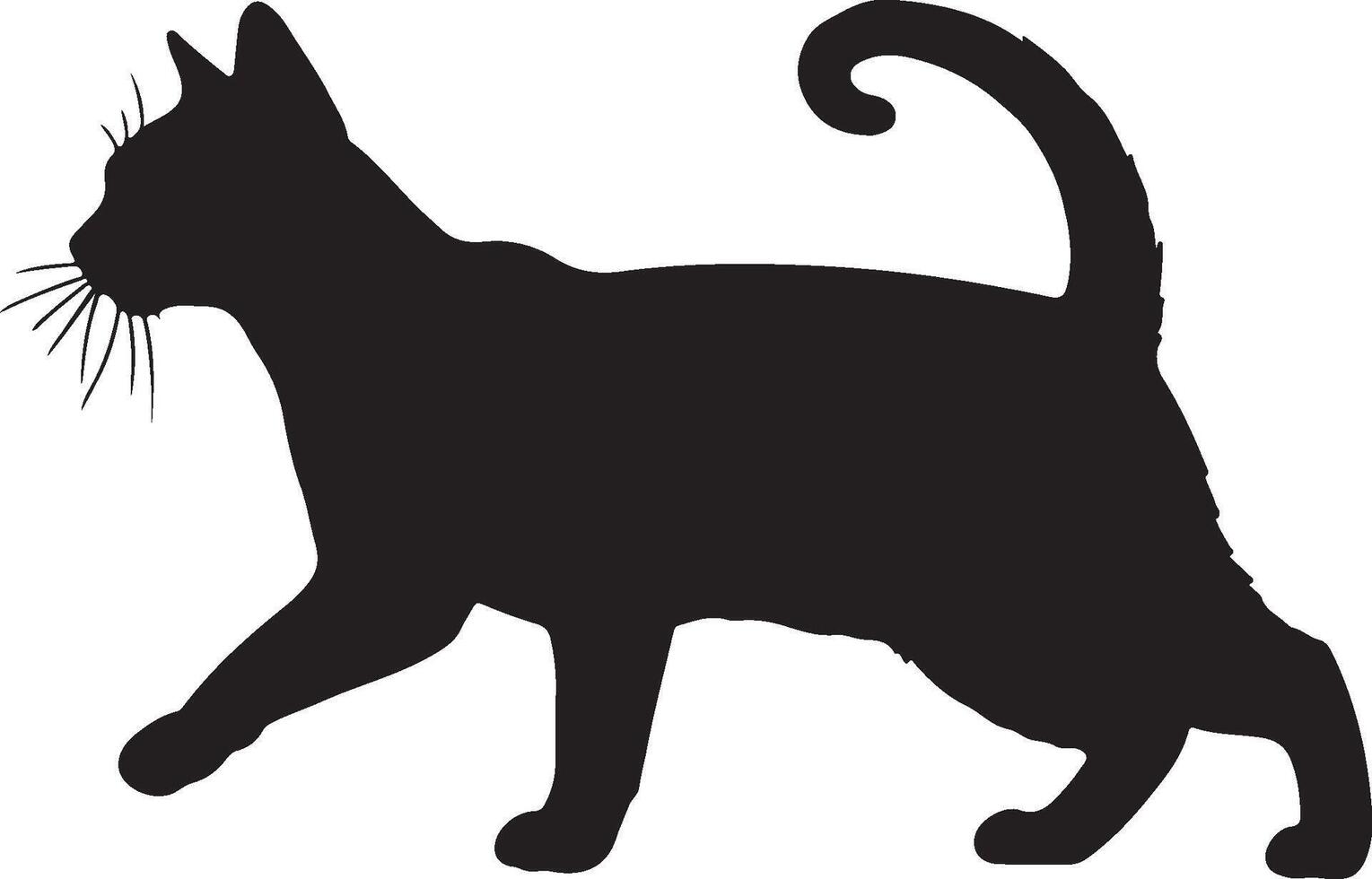 Laperm Cat Curly Coated Domestic Cat Solid Black Silhouette vector