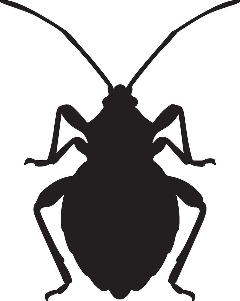 Leaf Bug Solid Black Silhouette vector