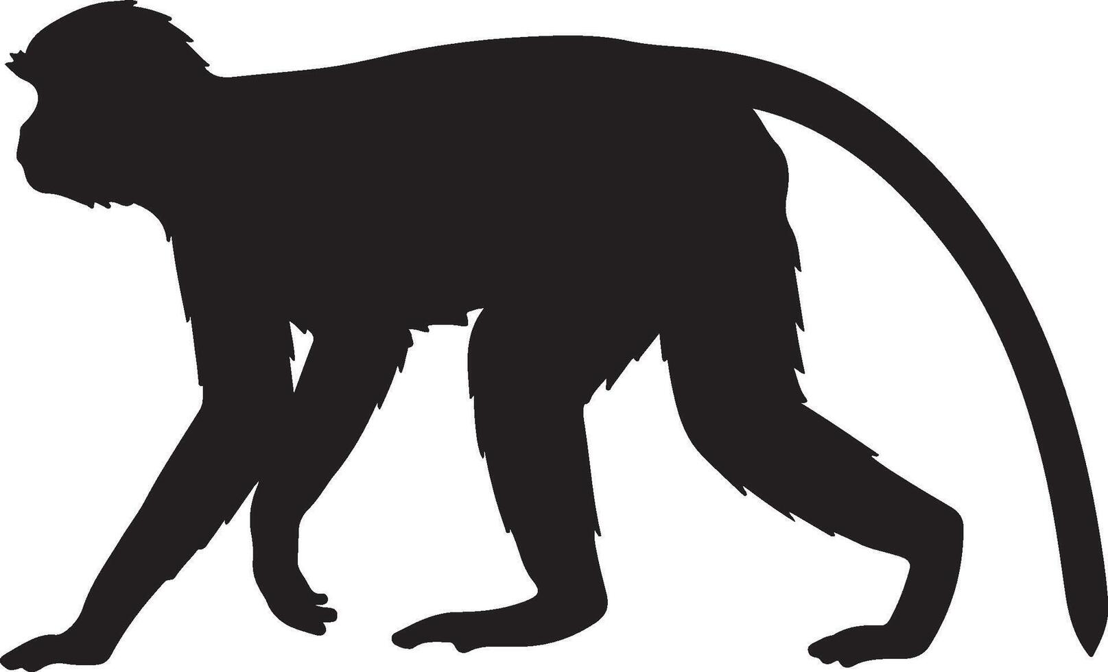 Leaf Monkey Solid Black Silhouette vector