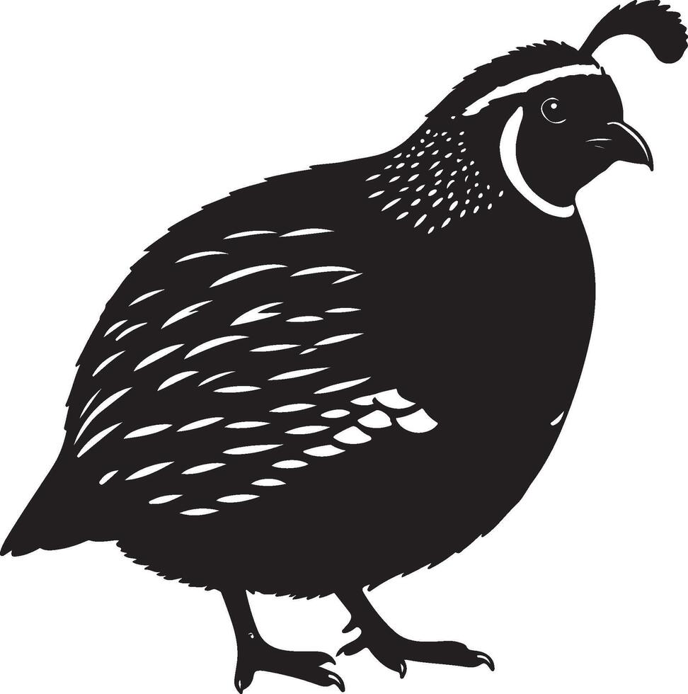 King Quail Solid Black Silhouette vector