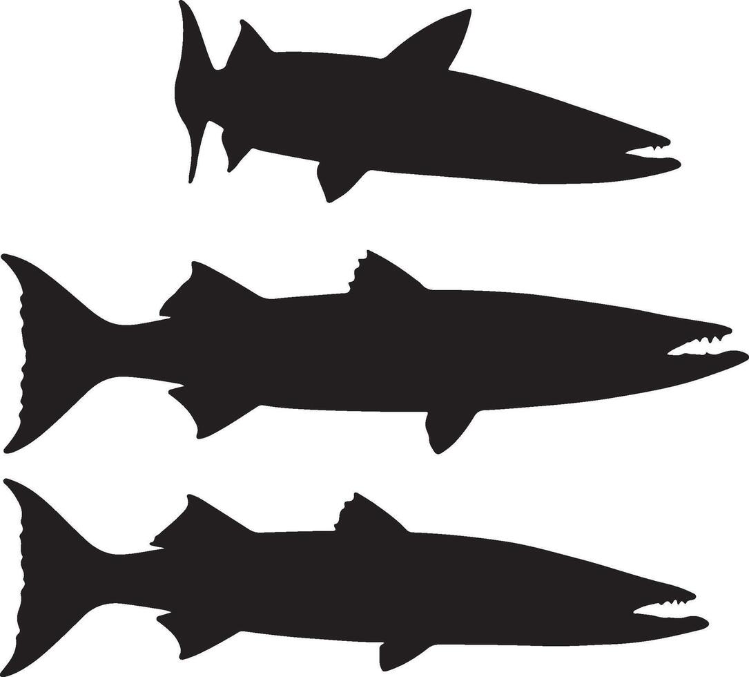 Barracuda Solid Black Silhouet vector