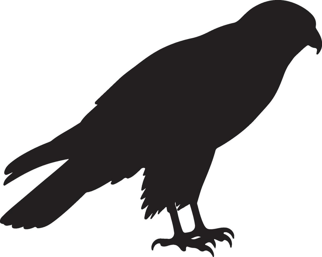 Hen Harrier Solid Black Silhouet vector