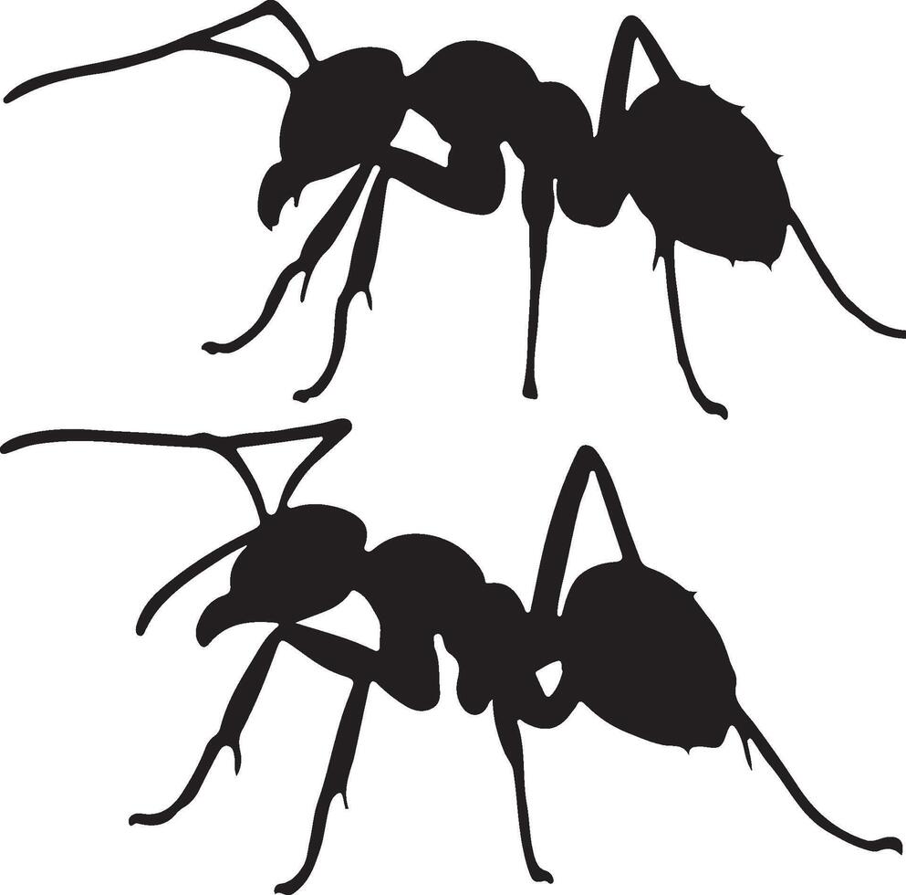 Army Ant Solid Black Silhouette vector