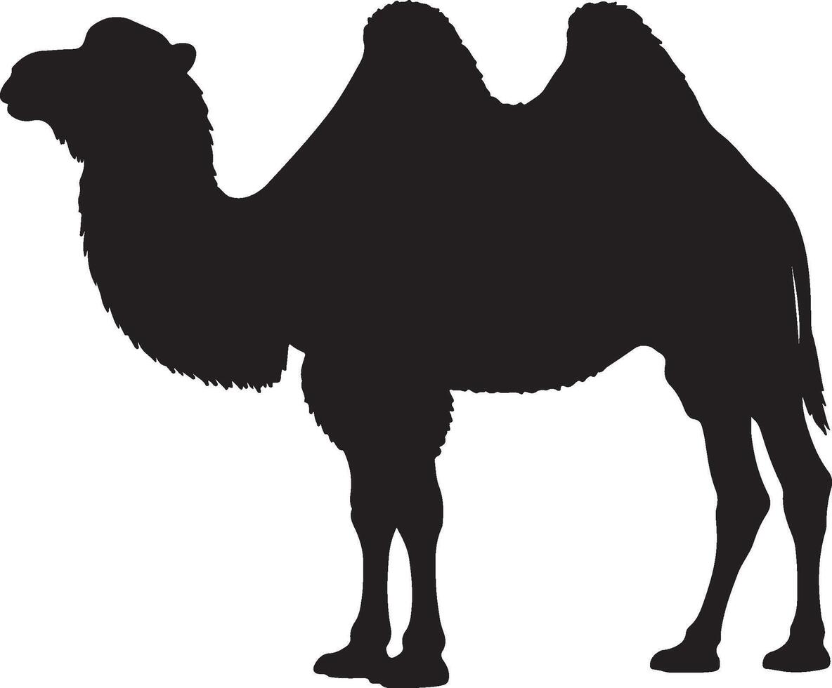 Bactrian Camel Solid Black Silhouette vector