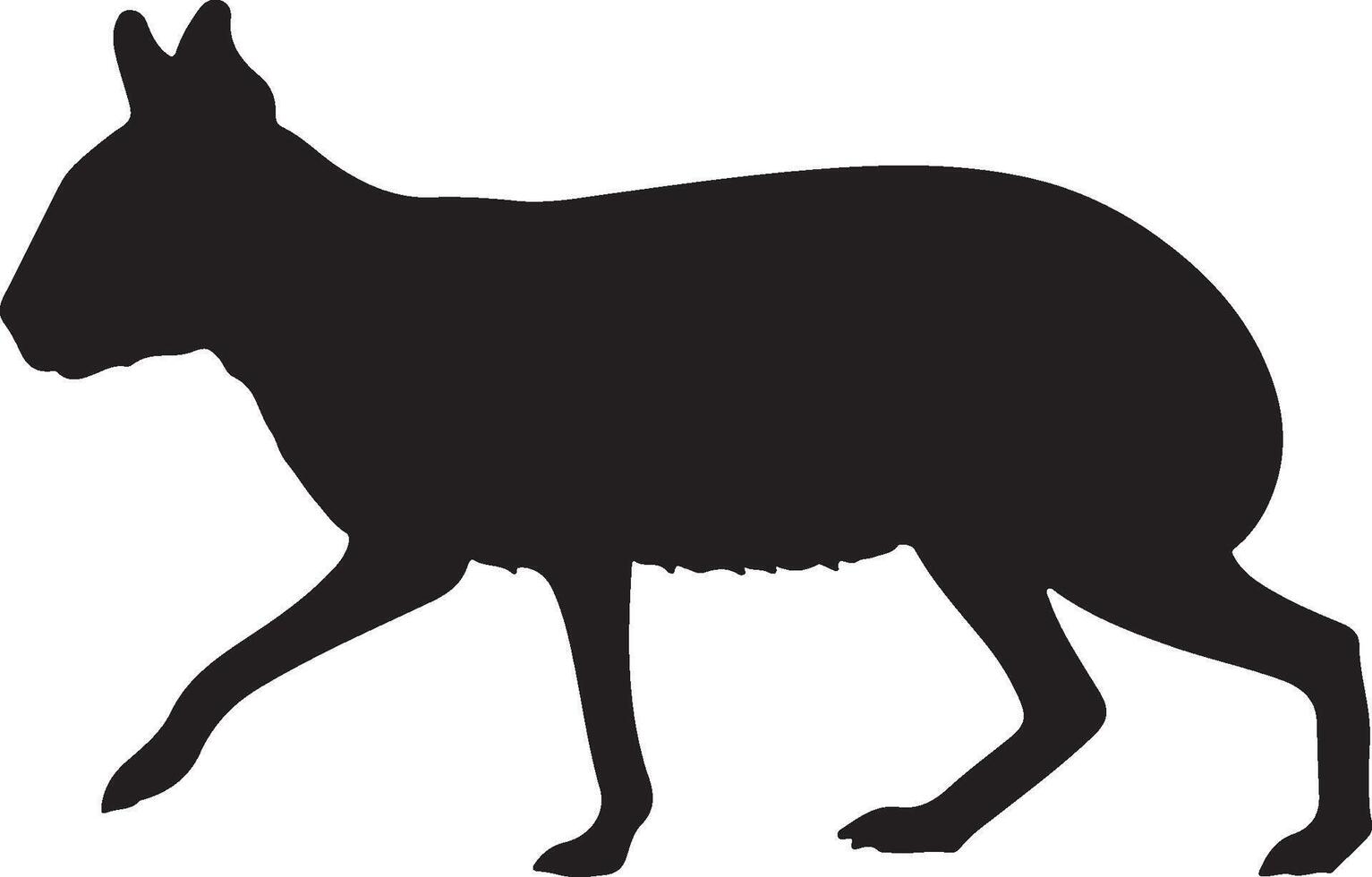 Patagonian Mara Solid Black Silhouette vector