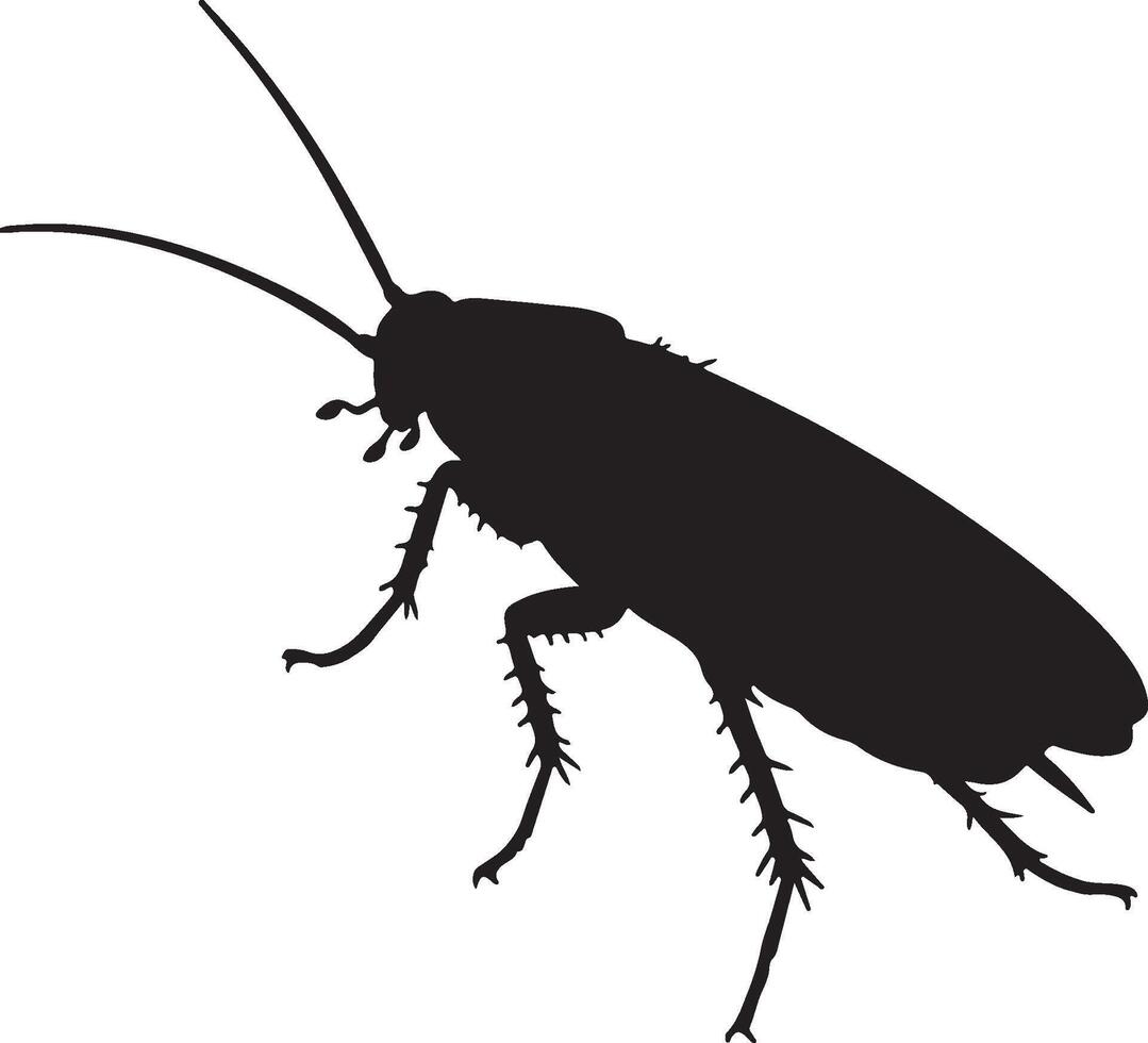 Cockroach Solid Black Silhouette vector