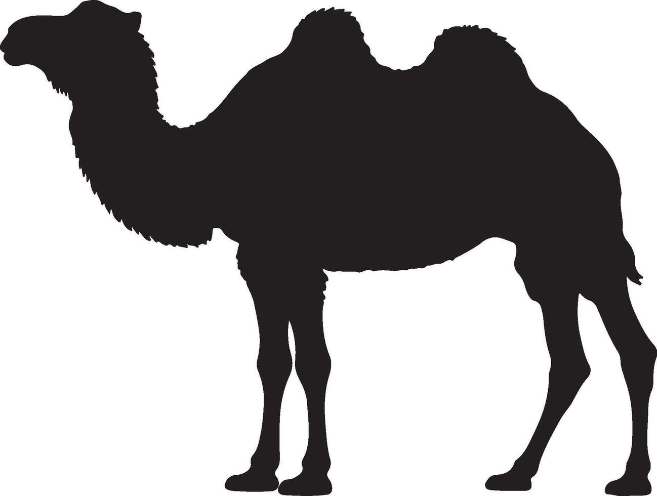 Camel Solid Black Silhouette vector