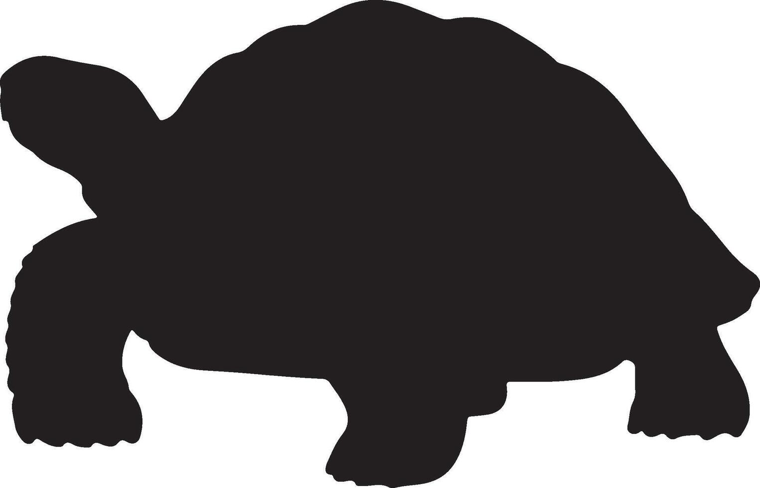 Aldabra Giant Tortoise Solid Black Silhouette vector