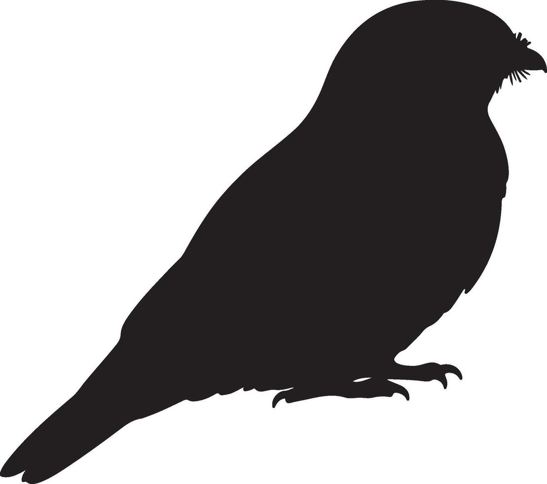 Nightjar Solid Black Silhouette vector
