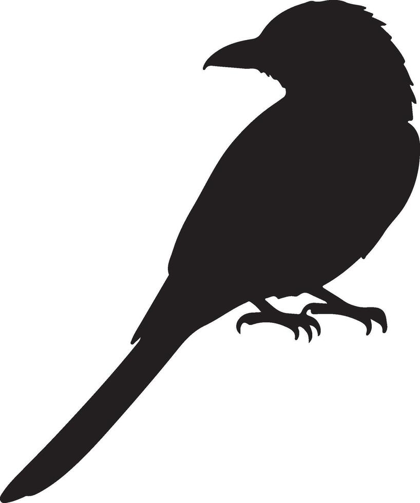 Fork tailed Drongo Solid Black Silhouette vector