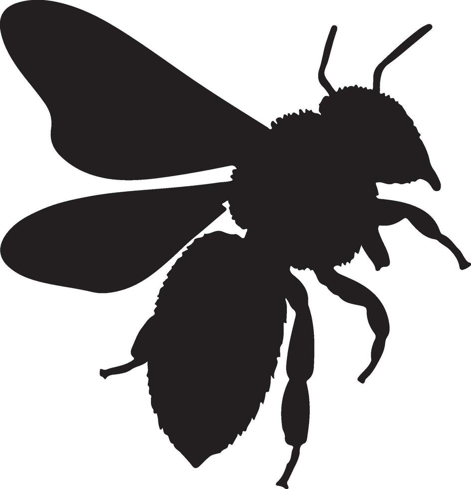 Honeybee Solid Black Silhouette vector