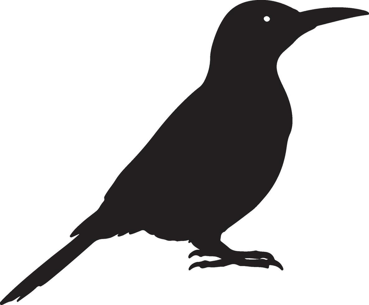 Yellow Shafted Flicker Solid Black Silhouette vector