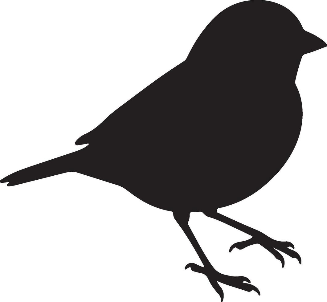 Finch Small Solid Black Silhouette vector