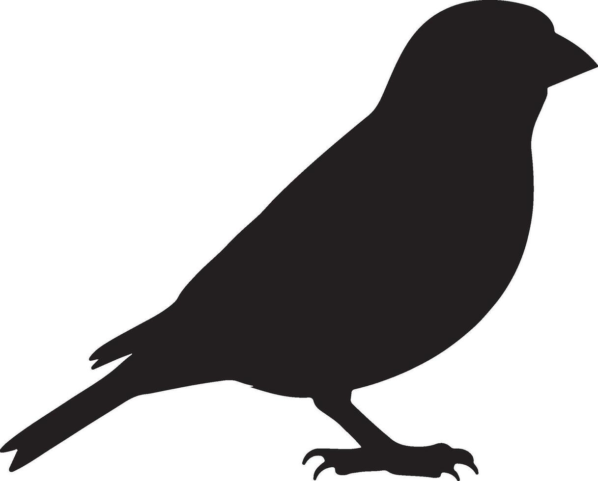 Greenfinch Solid Black Silhouette vector