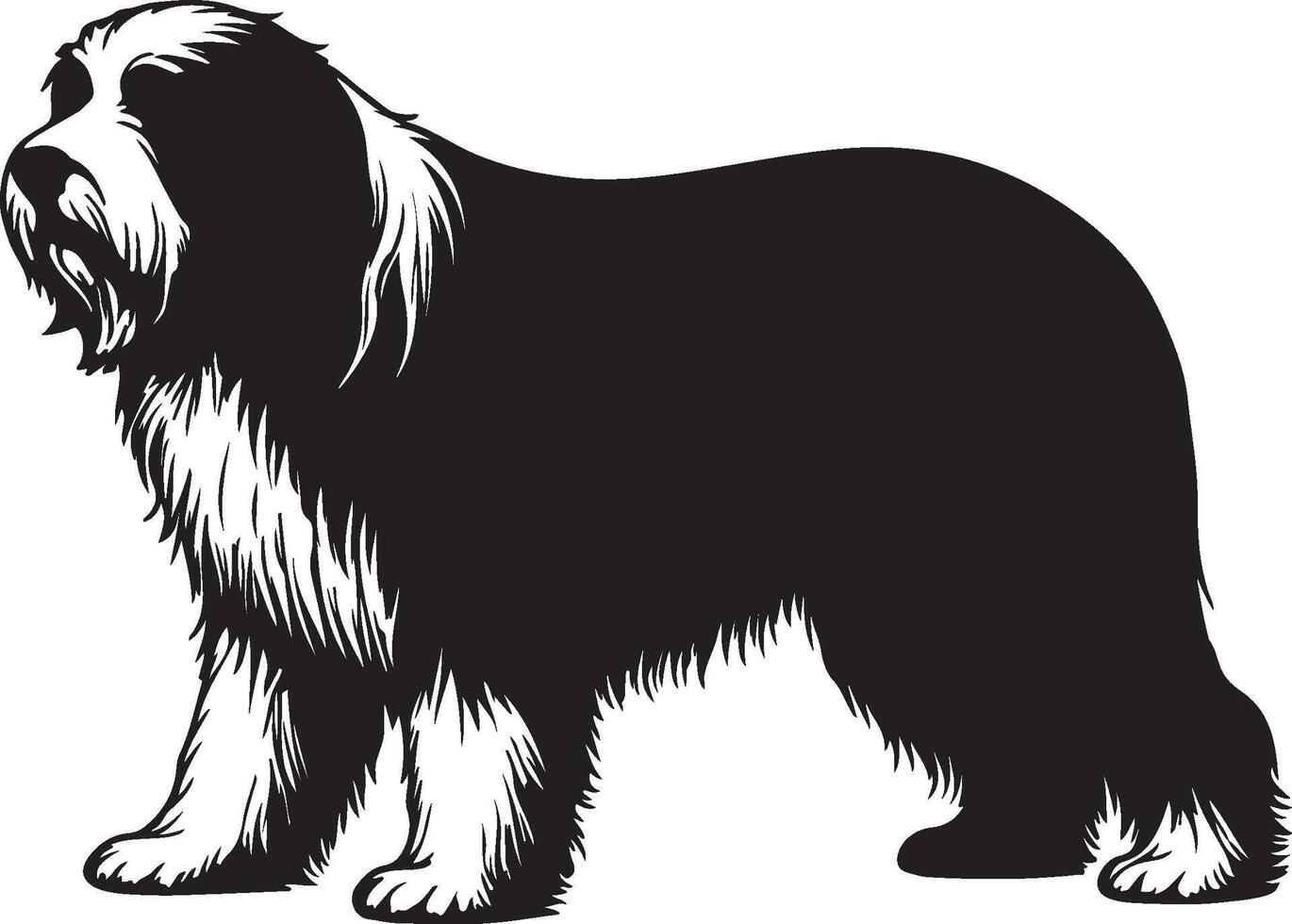Bearded Collie Solid Black Silhouette vector
