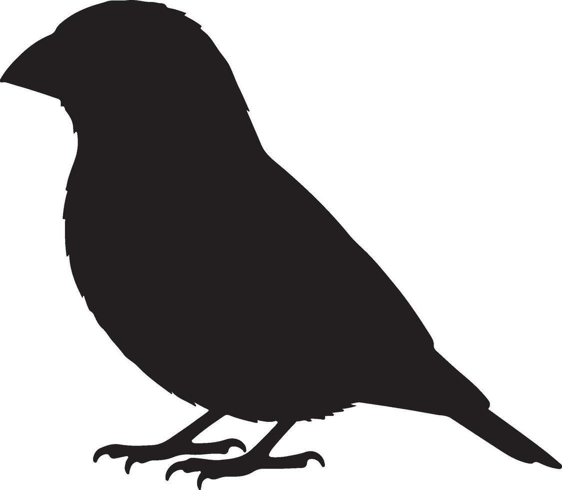 Grosbeak Solid Black Silhouette vector