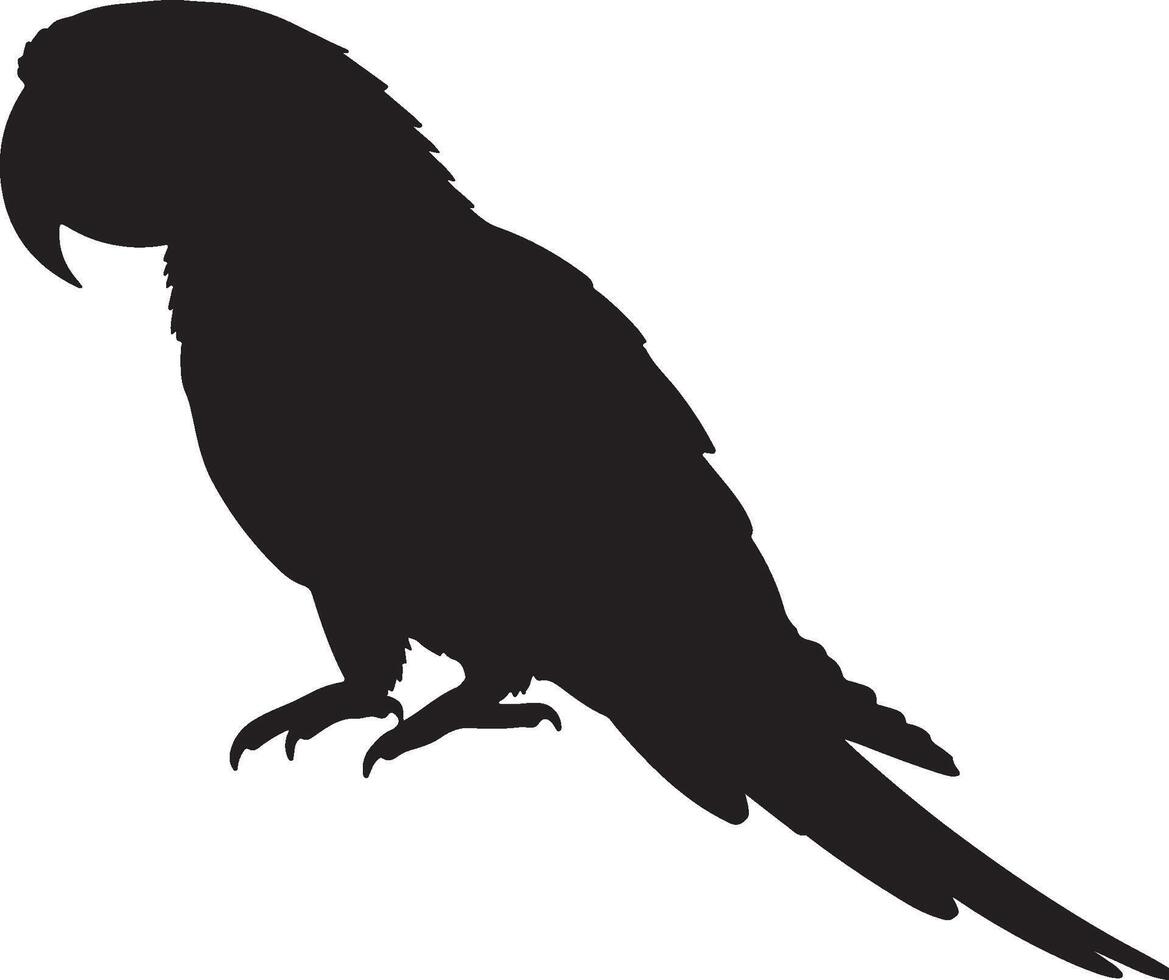 Scarlet Macaw Solid Black Silhouette vector