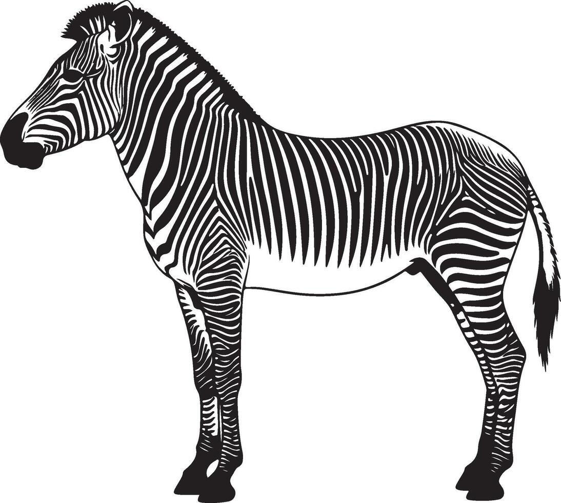 Zebra Solid Black Silhouette vector
