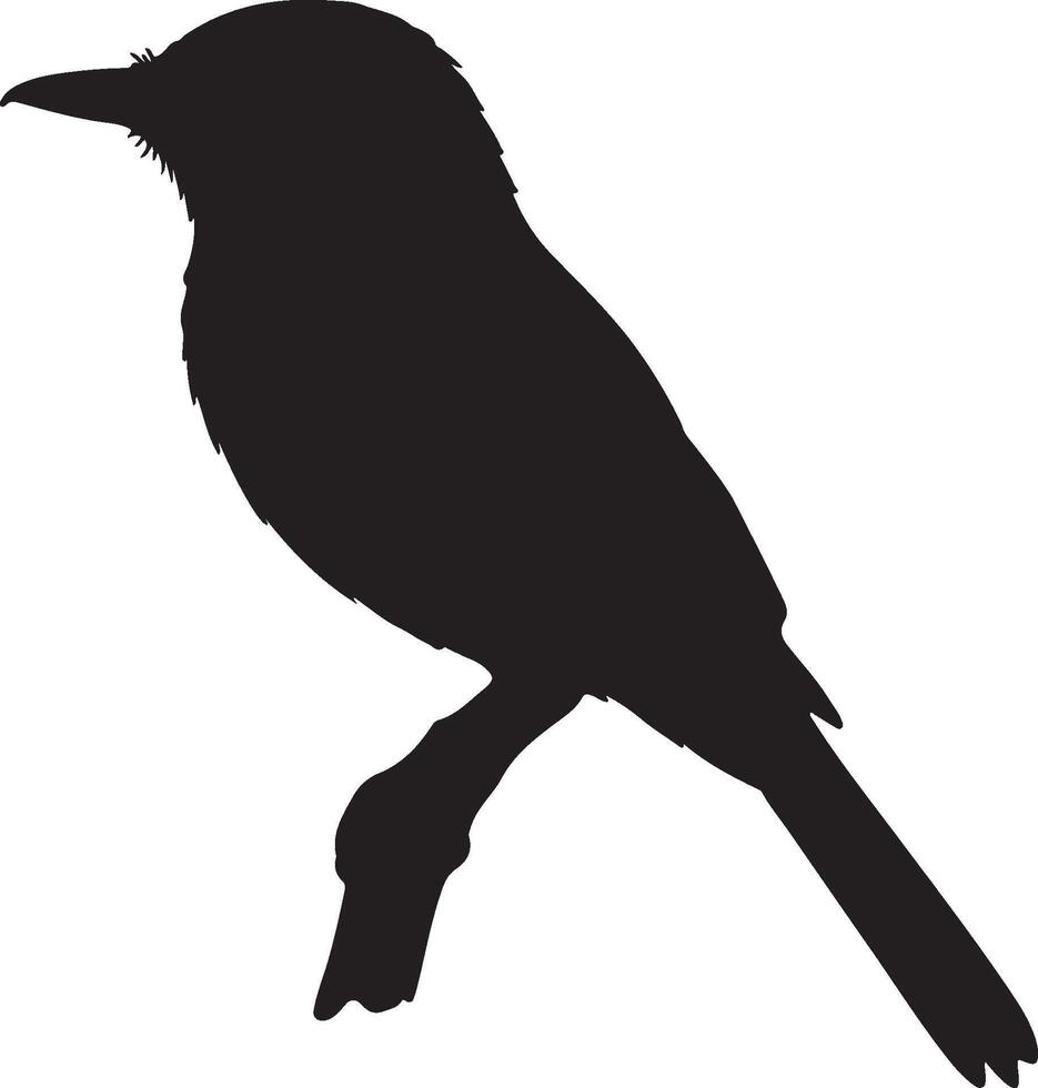 Xolmis Solid Black Silhouette vector