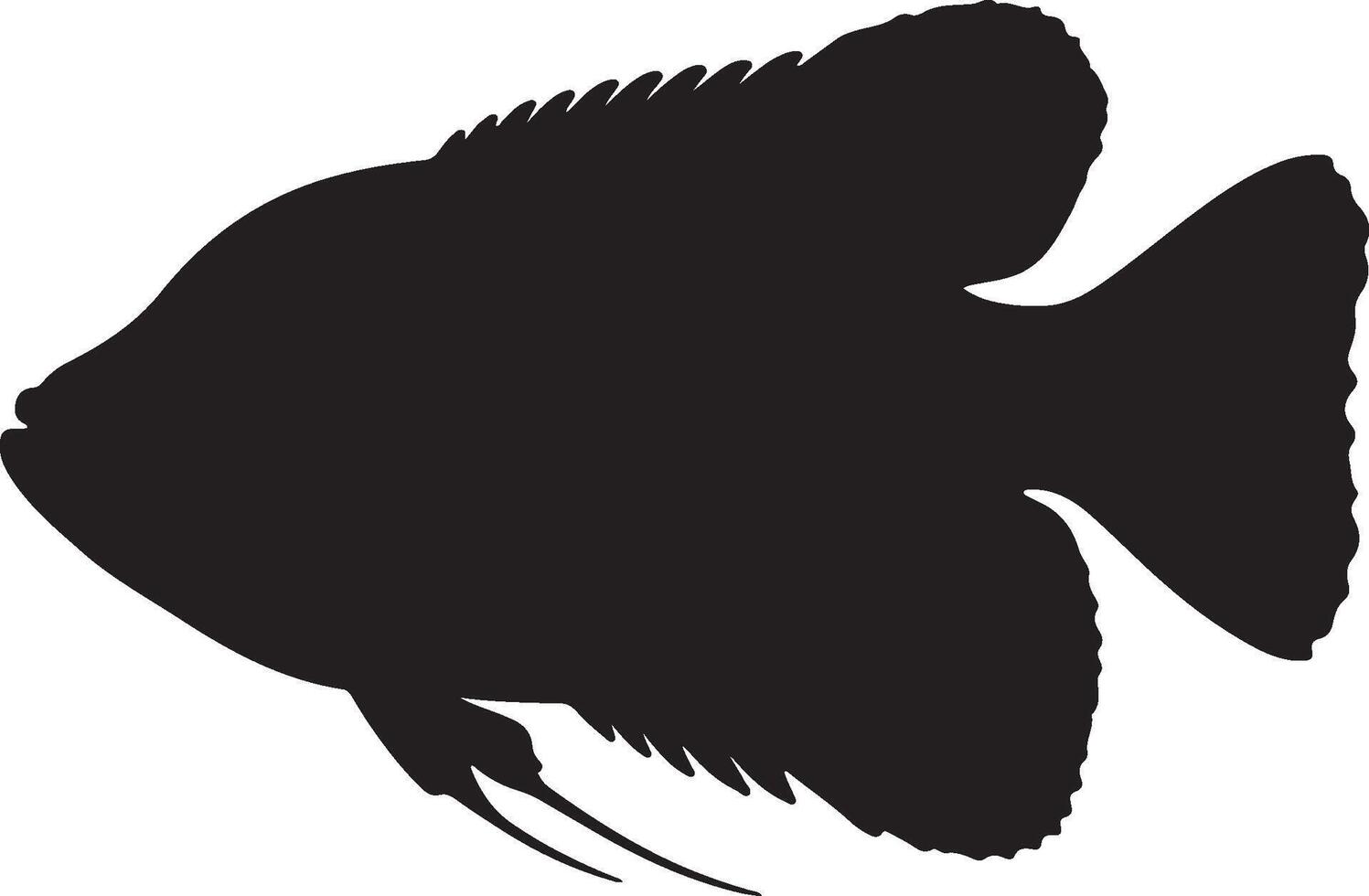 Giant Gourami Solid Black Silhouette vector