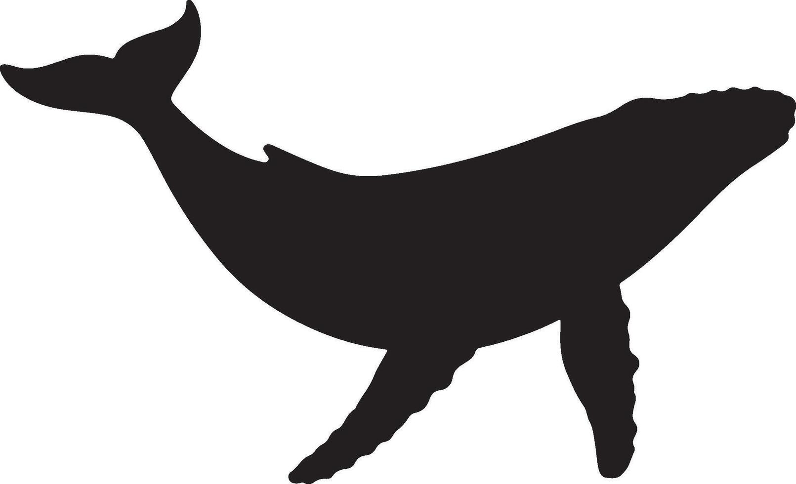 Whale Solid Black Silhouette vector