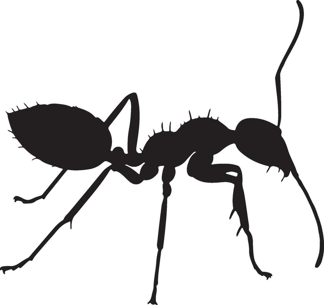 Yellow Crazy Ant Solid Black Silhouette vector