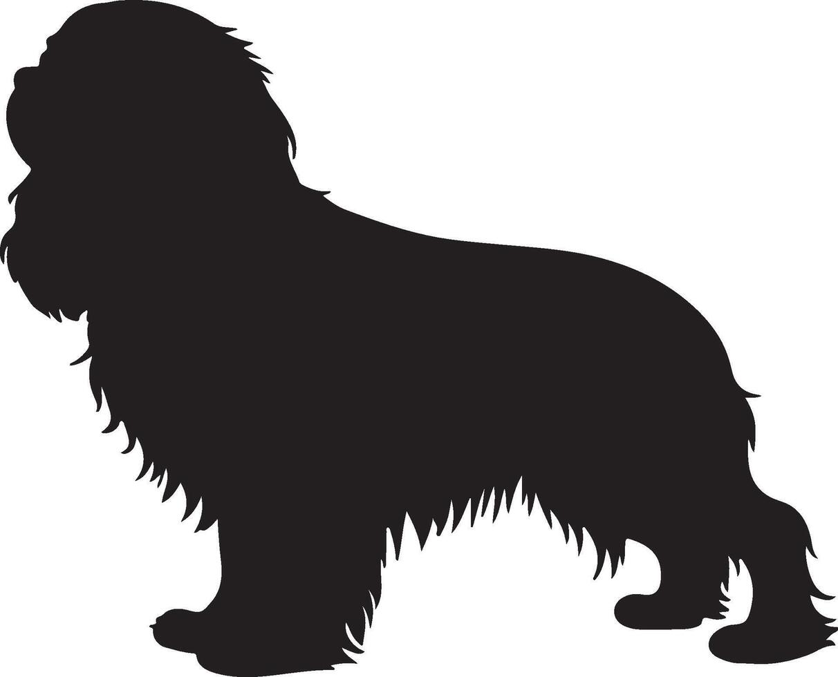 Cavalier King Charles Spaniel Solid Black Silhouett vector