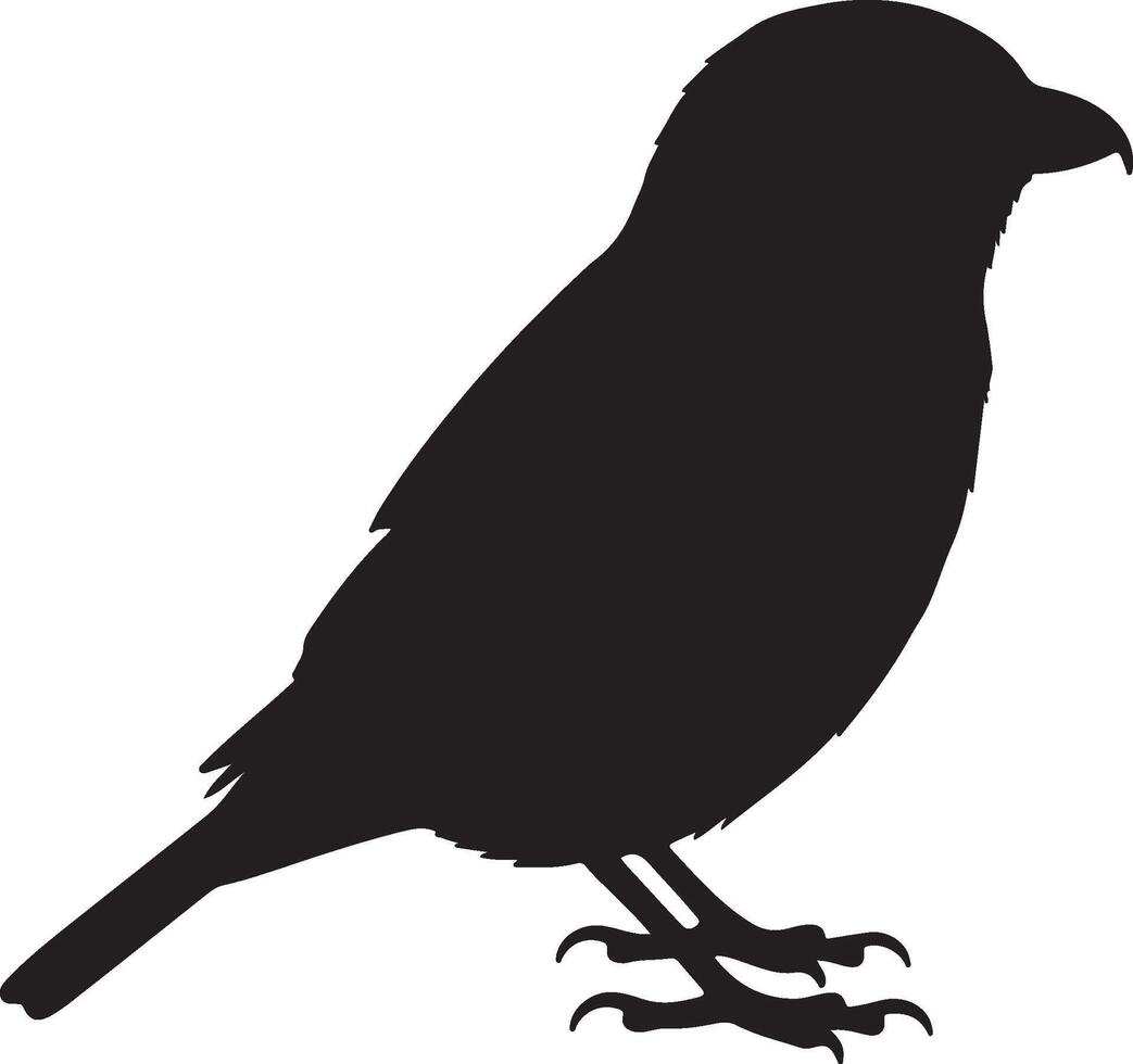 Red-backed Shrike Solid Black Silhouette vector
