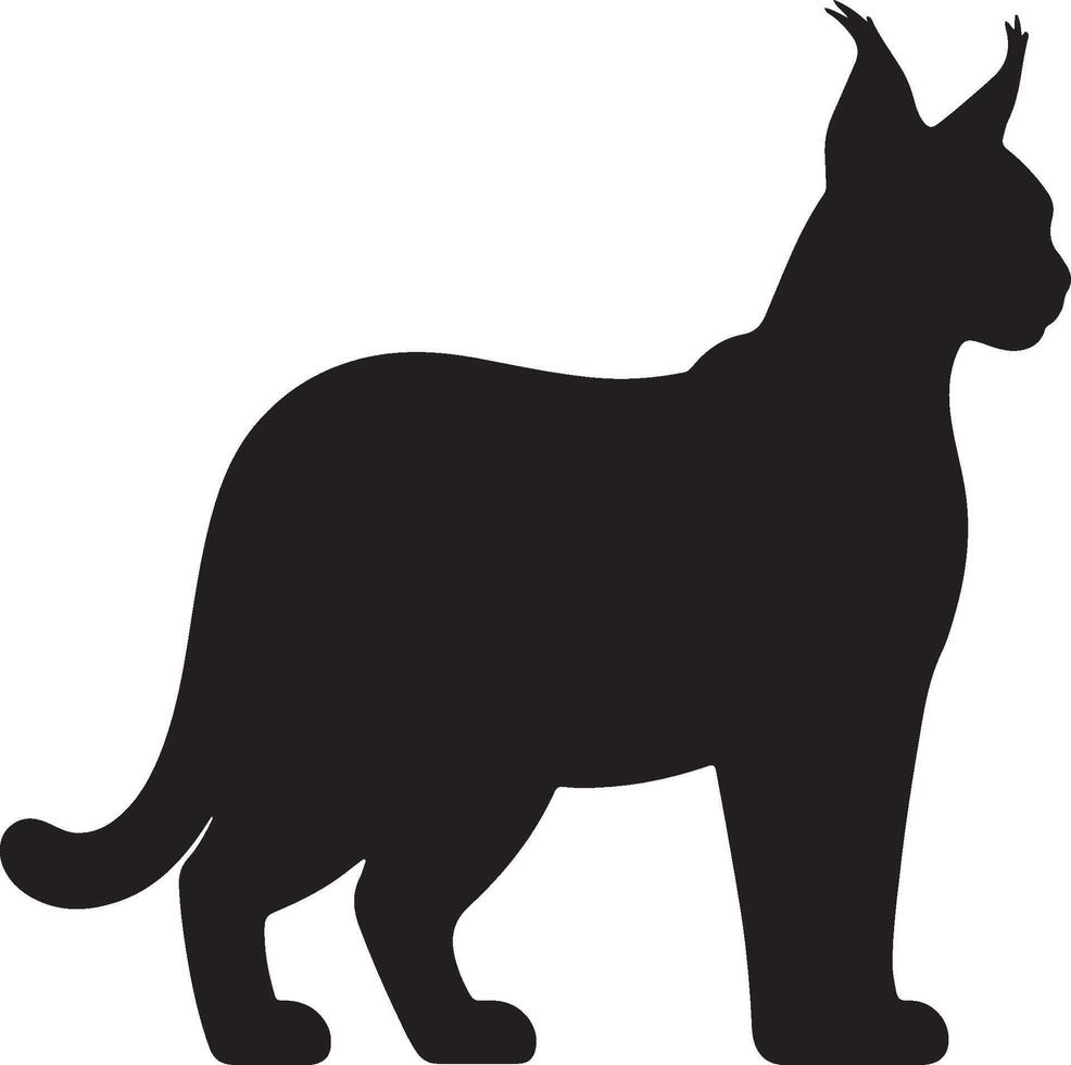 Caracal Solid Black Silhouette vector