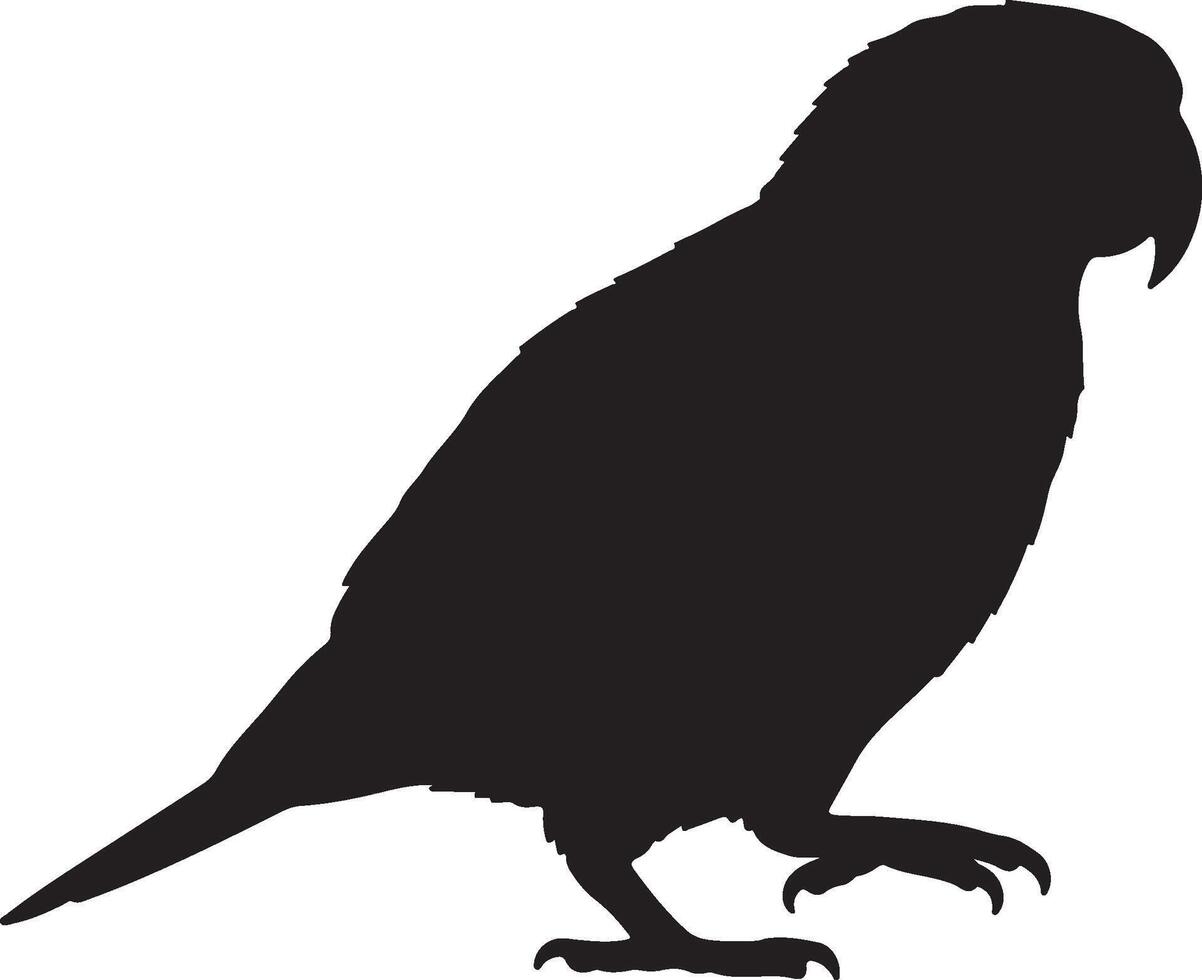 Orange-bellied Parrot Solid Black Silhouette vector