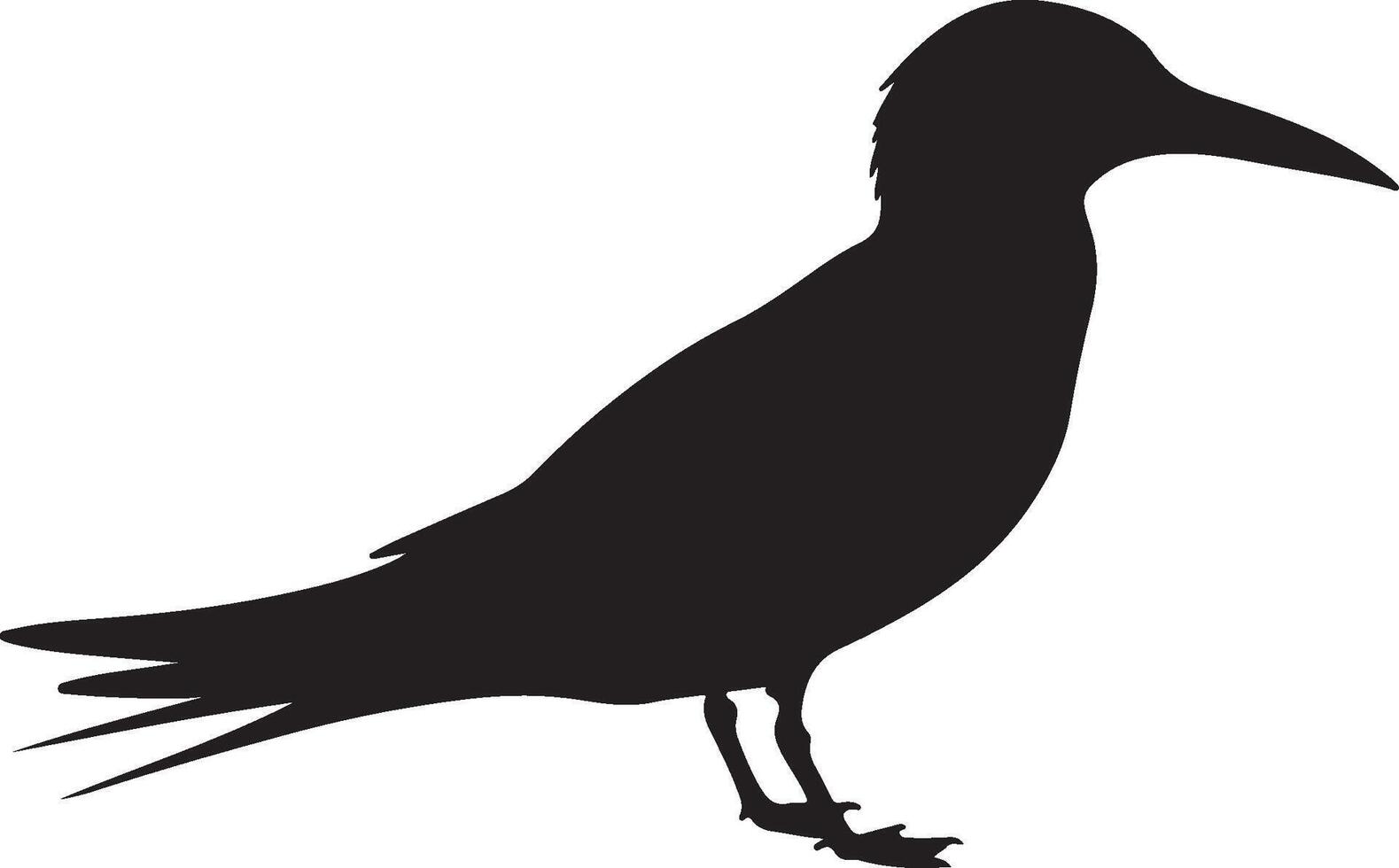 Elegant Tern Solid Black Silhouette vector