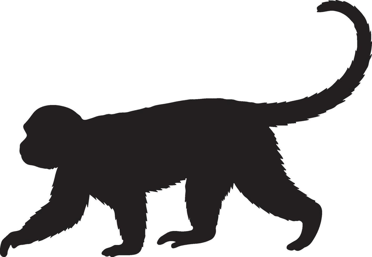 White-Faced Capuchin Solid Black Silhouette vector
