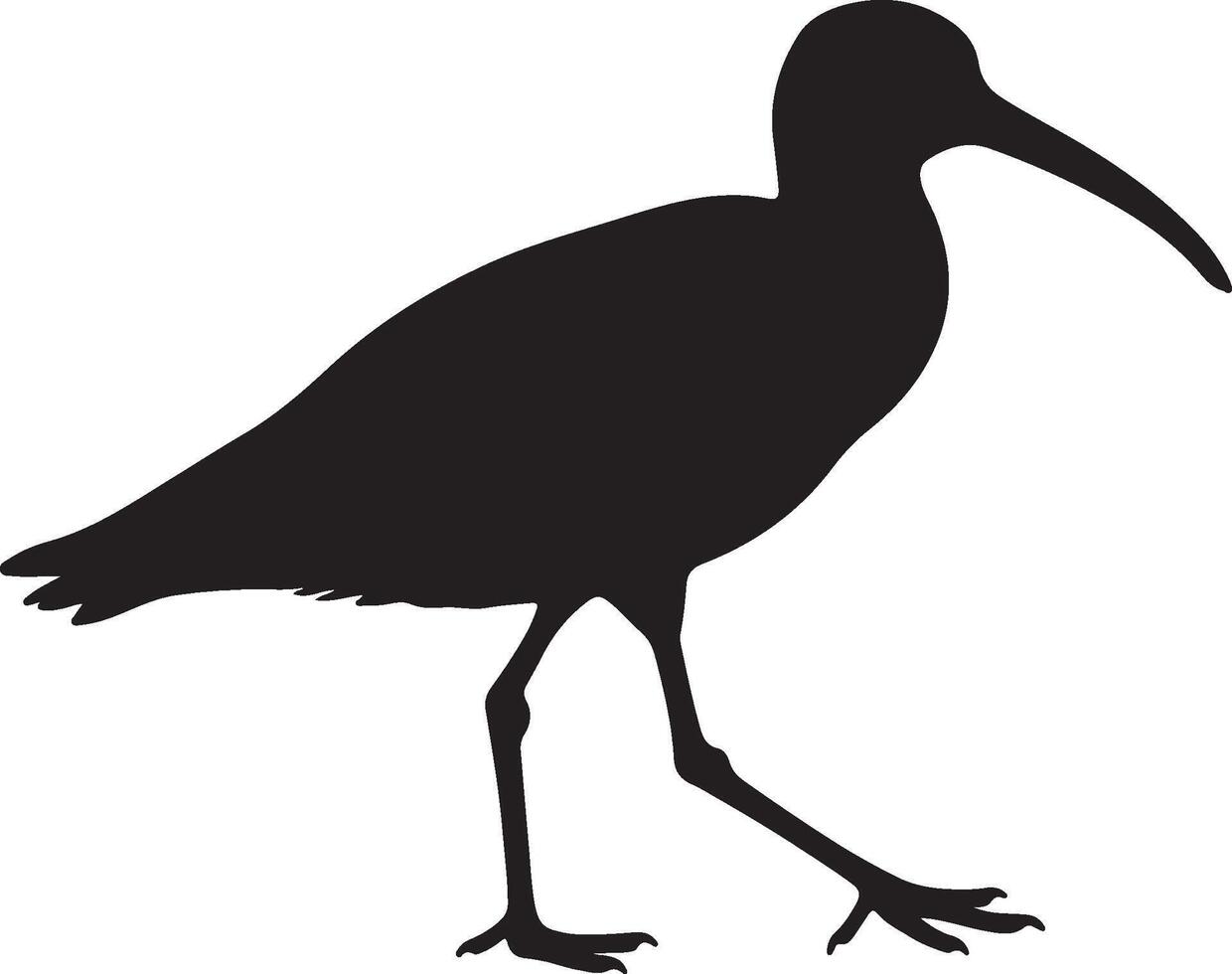 Whimbrel Solid Black Silhouette vector
