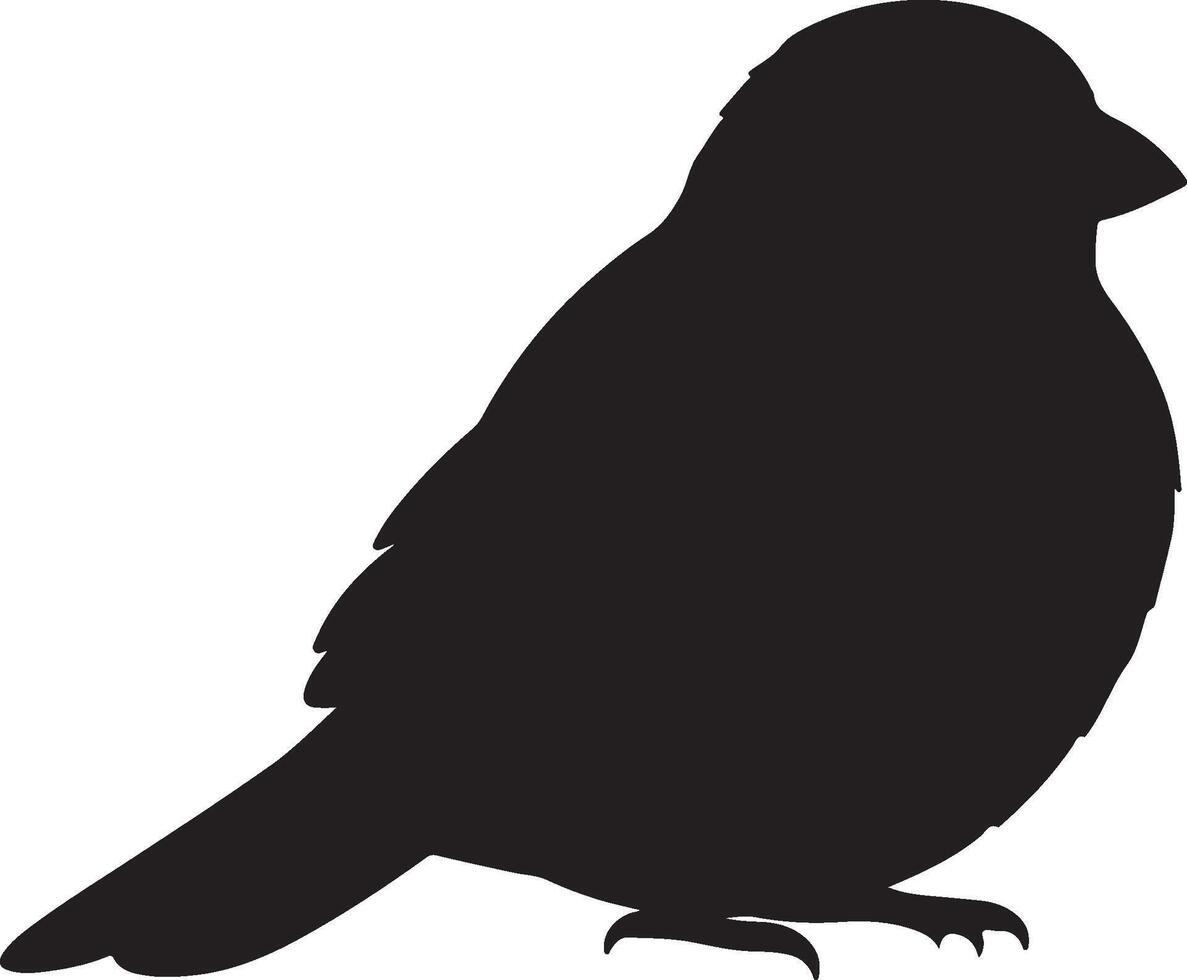 Xantus's Murrelet Solid Black Silhouette vector