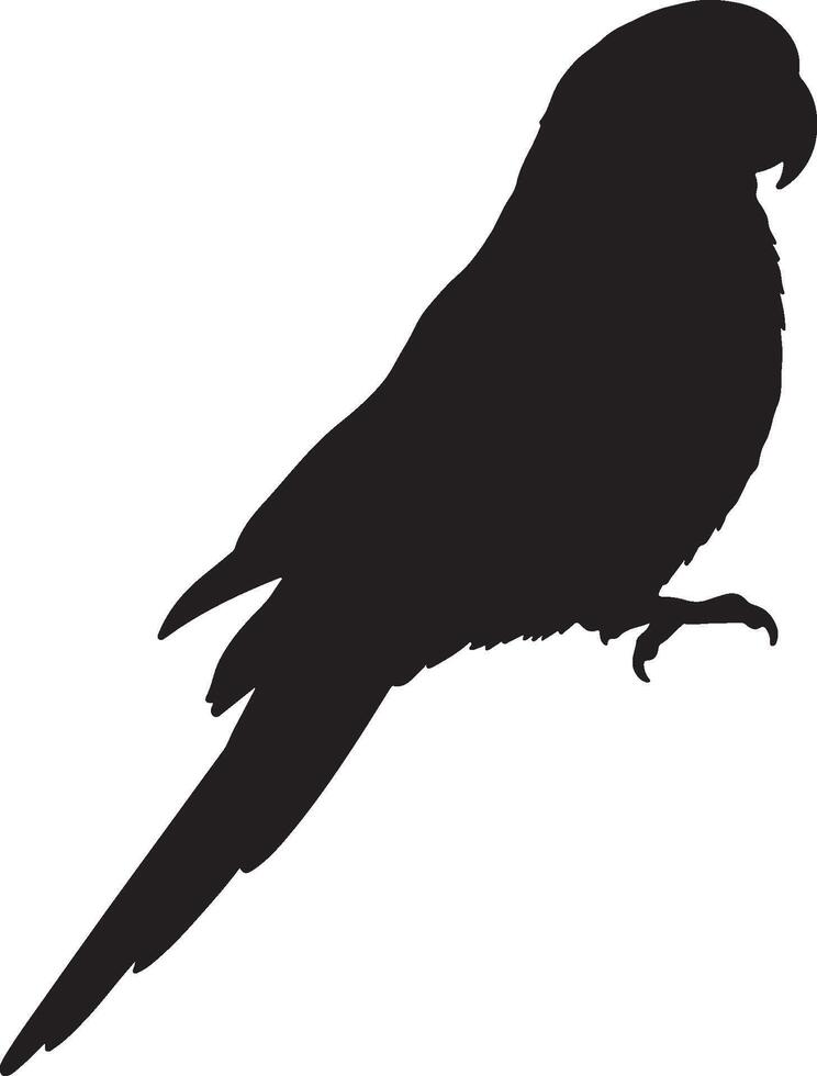 Eastern Rosella Solid Black Silhouette vector