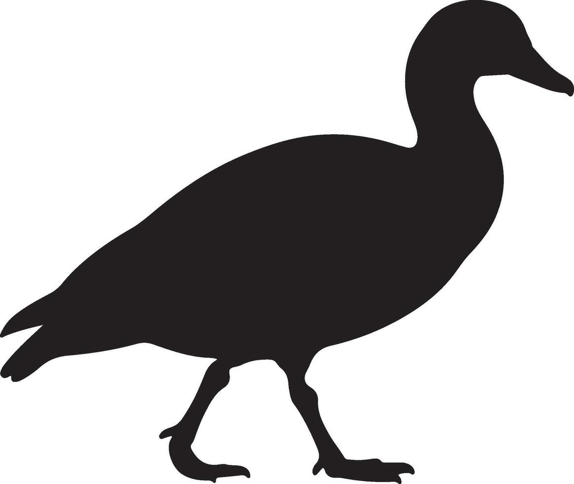 Egyptian Goose Solid Black Silhouette vector