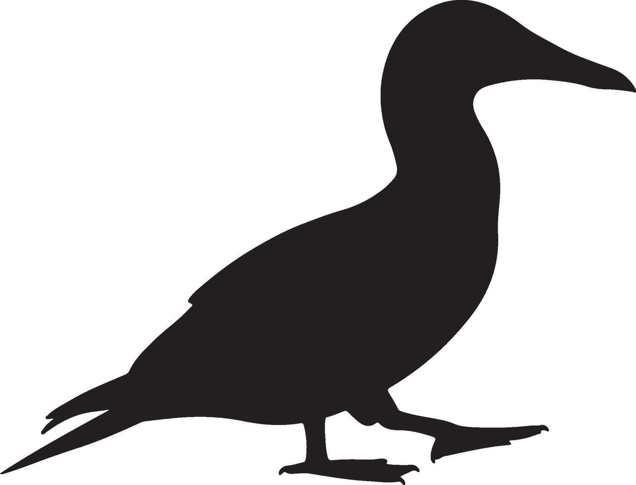Masked Booby Solid Black Silhouette vector