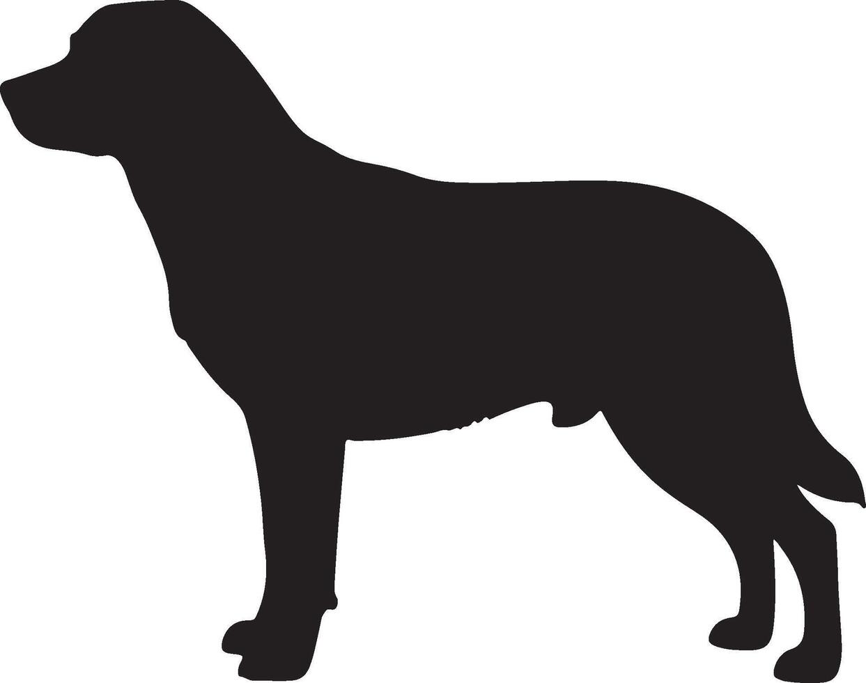 Entlebucher Mountain Dog Solid Black Silhouette vector