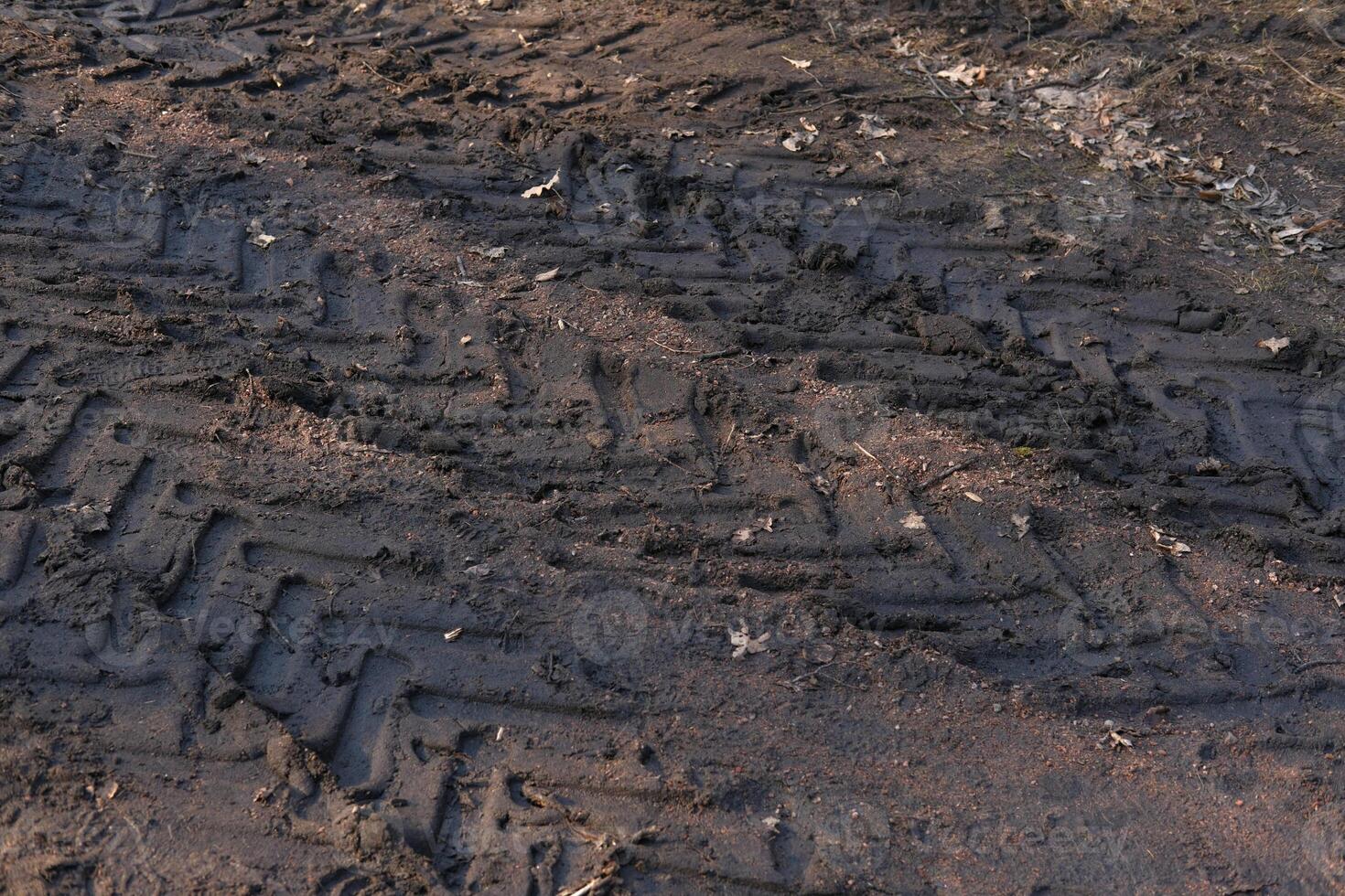 Tire tracks of car or truck on muddy field or dirt road after rain. Driving in bad conditions. Vehicle in different weather photo